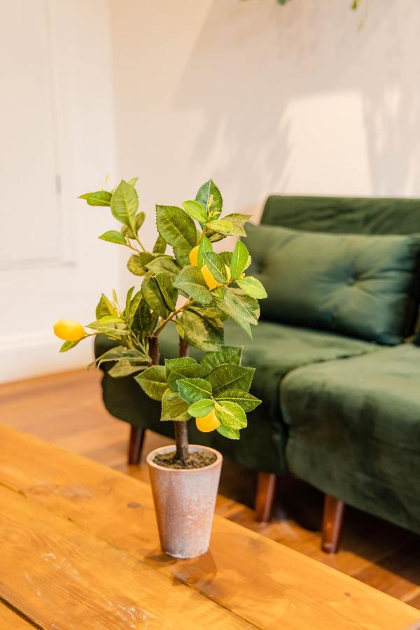 Апартаменты 2Cq*Morden Studio Flat *Moments Away From Brighton Seafront Экстерьер фото